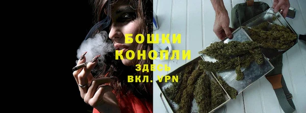 СК Осинники